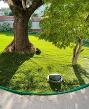 LOUBIERE DOMINIQUE image 10