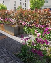 Gerber Gartenbau AG Bild 12