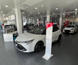 Gallery Cliente
