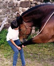 Guillermain Carole image 2