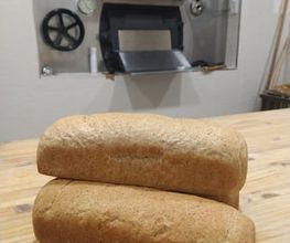 303138887-1-nPgc0ANrU61788438413753.jpeg