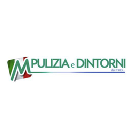 Pulizia e Dintorni Sas logo