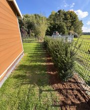 Landschaftspflege & Gartenbau Manuel Alten Bild 14