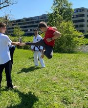 Taekwon-Do Terranova Kampfsport Zürich Bild 2
