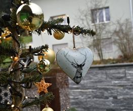 Villiger AG Garten + Pool Bild 2