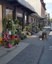 Gartencenter A-Z Velbert GmbH Bild 22