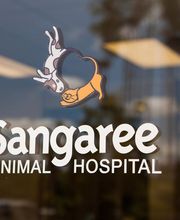 Sangaree Animal Hospital image 2