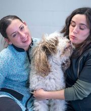 Dominion Valley Animal Hospital image 2