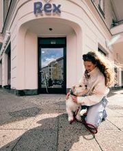 Rex Tierarztpraxis Berlin-Schöneberg Bild 3