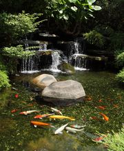 Gartenbau Gies