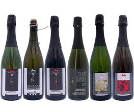 Ökoweingut Stutz Bild 6