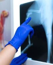 CONSULTORIO VETERINARIO MORANO imagen 2