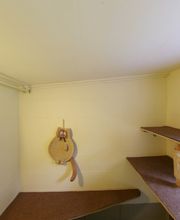 Tierpension Haas Bild 12