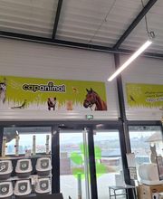 Cap Animal Belley image 5