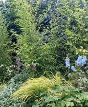 Les Jardins Du Bord De Mer image 3