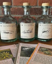 Palenque Cocina Y Agaveria image 15