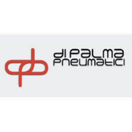 Centro Revisioni Di Palma logo