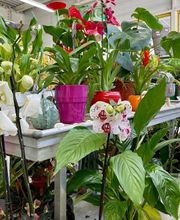 Bricomarché Maiche image 2