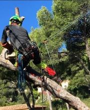 Jardins du Sud-Est image 2