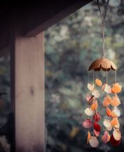 InTEM - Naturheilpraxis Bild 3