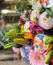 Nymphea Fleurs image 9