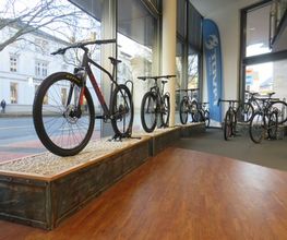 MF Bikes Bild 5