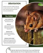 NOCIBILIS Désinfection Sàrl Bild 3