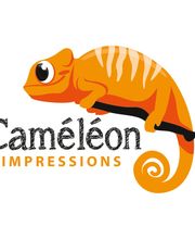 Caméléon Impressions image 1