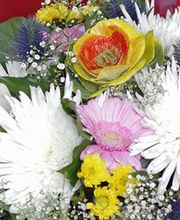 Jardins Divers image 1