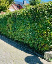 All Around Service Bild 4