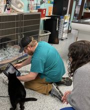 Westerville Veterinary Clinic image 2