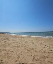 Mercier Alain image 12