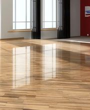 Domingues Sergio image 5