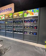 Animalis Plan de Campagne image 1