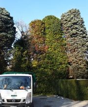 JB Jardins SA Bild 9