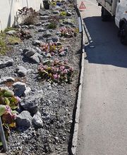 Bösch-Gärten AG Bild 14