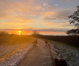 Super Hundeurlaub Bild 4