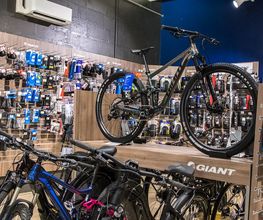 Giant Belfort image 8