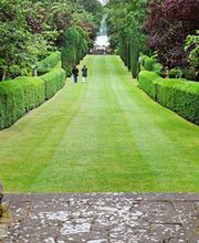 Les Serres Du Canal image 1