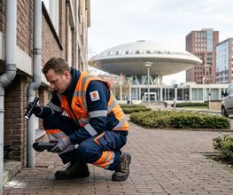 Rattenbestrijding Brabant | Vestiging Lith afbeelding 3