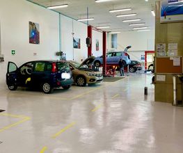Gallery Cliente
