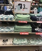 Orchestra VIERZON image 16