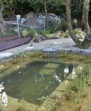 Grün & Blau Gärten und Teiche GmbH Bild 6