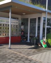 hollenstein blumengarten ag-Blumenshop-Gärtnerei-Gartenbau-Unterhalt-Grabpflege Bild 3