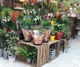 Le Jardin de Stelly image 16