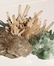 Roig Raymond image 17