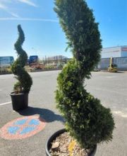 Ouest Paysage Carentan image 2