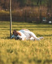 Winny Bull Family image 13