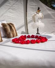 bulles de sologne image 7