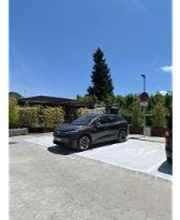 Wenea imagen 1
